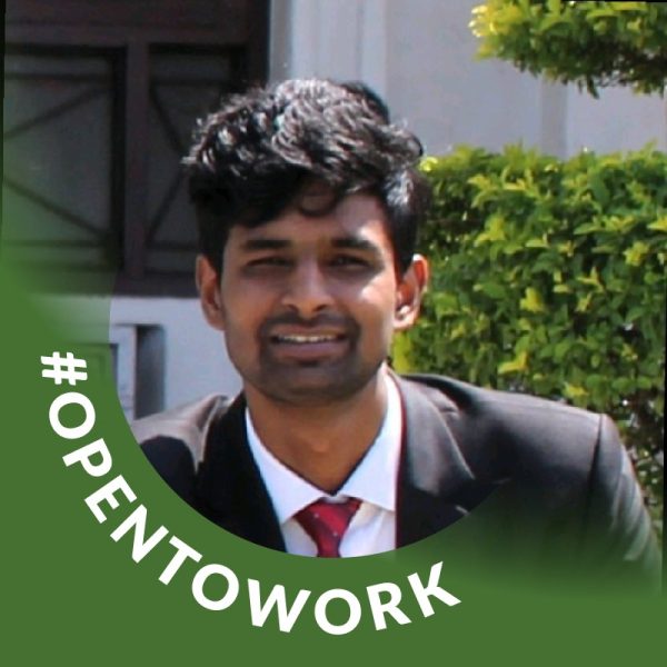 Full Stack Web Developer Intern with AI Mohit Kapil